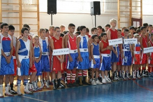 Международный турнир в Багаевской