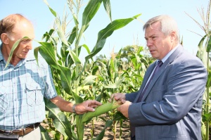 Василий Голубев: «Нужно практическое взаимодействие сельхозпроизводителей и учёных-аграриев»