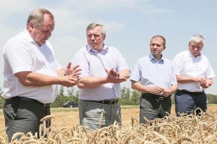 Василий Голубев: «Урожай зерновых 2014 года может стать одним из самых больших за последние 20 лет» 
